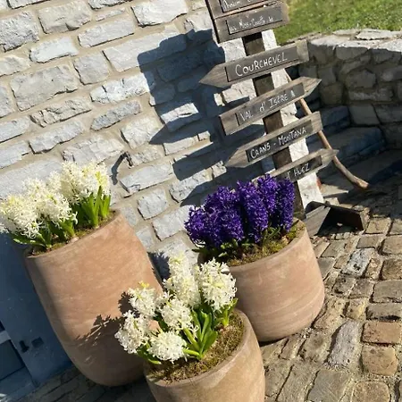 Miss Cocotte Champêtre 4*