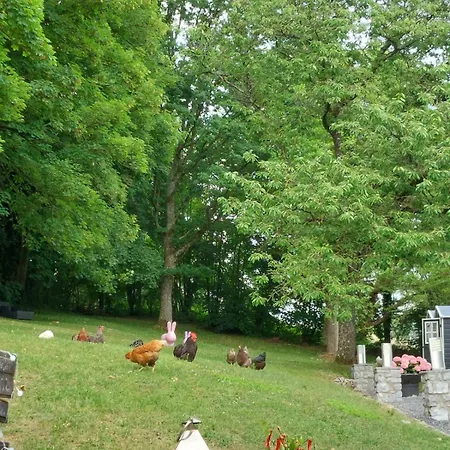 Hotel Miss Cocotte Champêtre Gesves